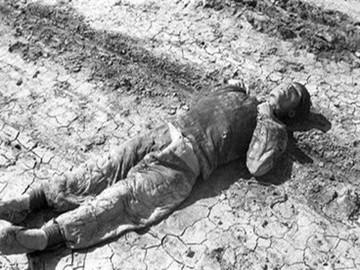 外交部发言人点赞河南,千年古都中原明珠